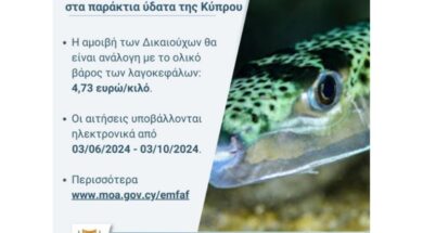 31052024georgias lagokefalos