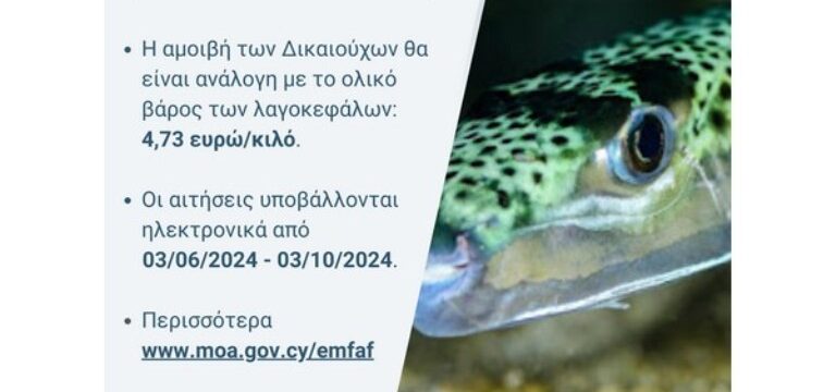 31052024georgias lagokefalos