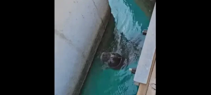 8fbbef99248a5fb8022a4d9a1484b0d0