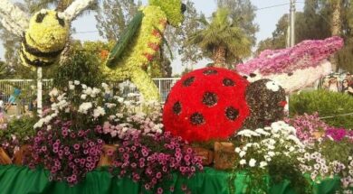 BEES FLOWER PARADE NEWSLETTER