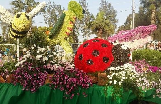 BEES FLOWER PARADE NEWSLETTER