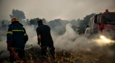 ΠΥΡΚΑΓΙΑ ΣΤΑ ΒΙΛΙΑ (ΤΑΤΙΑΝΑ ΜΠΟΛΑΡΗ/ EUROKINISSI)