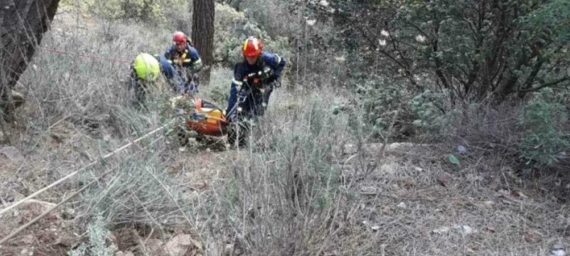 anasyrse_boyno_pyrosbestes