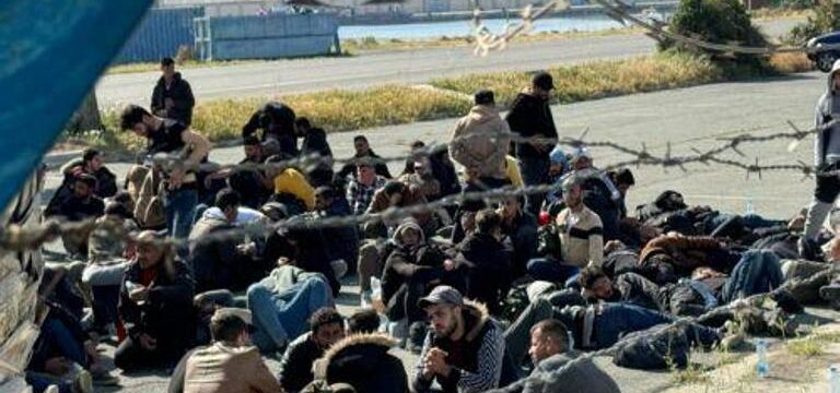 cache_500x500_6473862_1057152_03042024095144