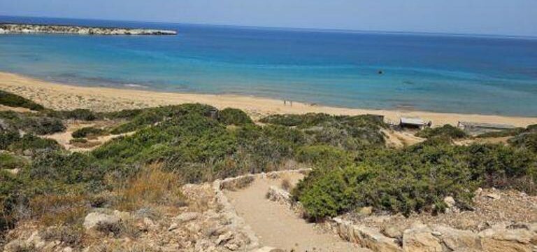 cache_500x500_6699941_1739430_20052024115836