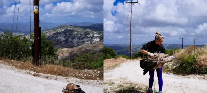 cf8986f8fdee0599dd714584b234a1f3