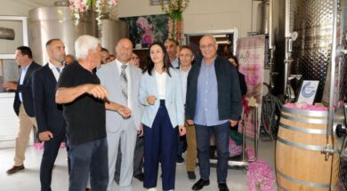 doc.20240511.6651573.georgias-rose2