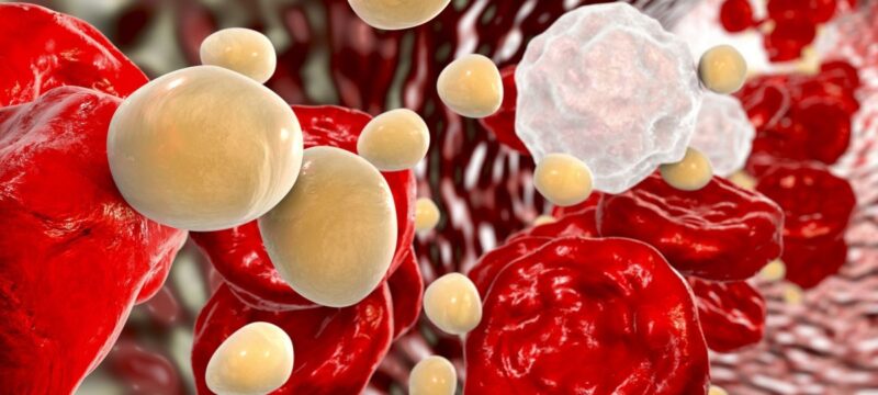 e9dad835-bigstock-Cholesterol-Molecules-In-Blood-309897094