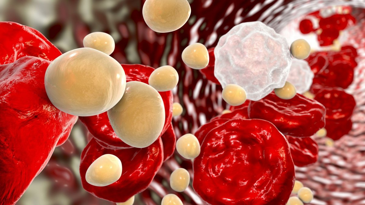 Επιστήμονες ανακάλυψαν πρωτεΐνες αίματος – Προειδοποιούν για καρκίνο