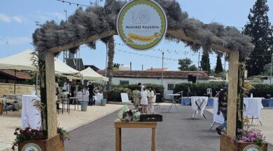 fest_1JX17WG.2e16d0ba.fill-1375×729