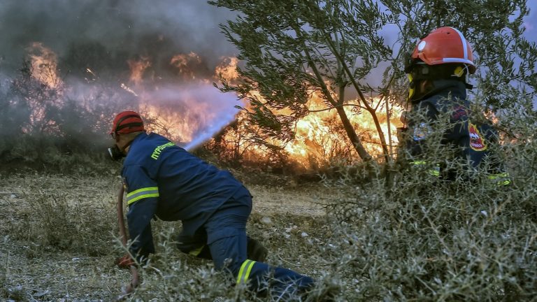 Αναμένεται δύσκολη η φετινή αντιπυρική περίοδος, είπε η ΠτΒ