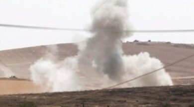 syria_ape