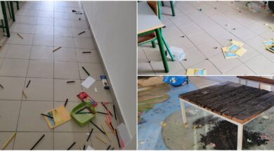 ΝΕΑΝΤΙΚΗ ΠΑΡΑΒΑΤΙΚΟΤΗΤΑ 2