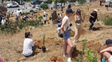 Χωρίς τίτλο