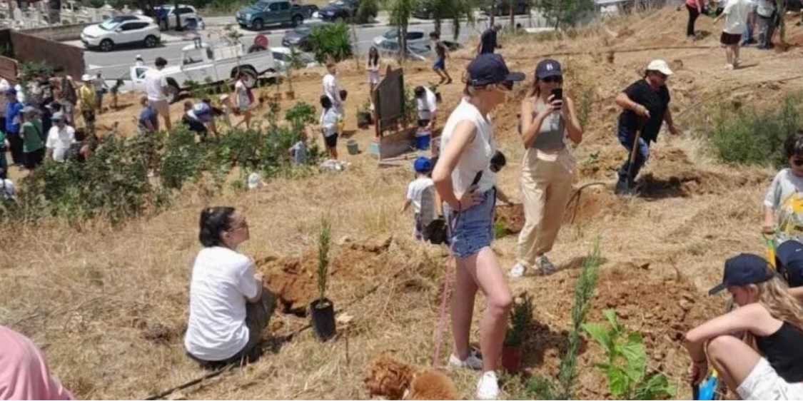 Μοσφιλωτή: Έτοιμο το πάρκο της Μέλισσας -Φυτεύτηκαν πέραν των 1000 δέντρων