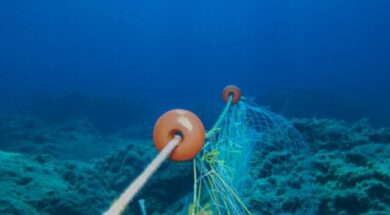 Ghost,Fishing,Nets,In,The,Mediterranean,Sea