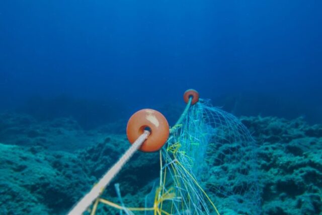 Δίχτυα φάντασμα στοιχειώνουν τις ακτές μας, λέει το Κέντρο ΑΚΤΗ