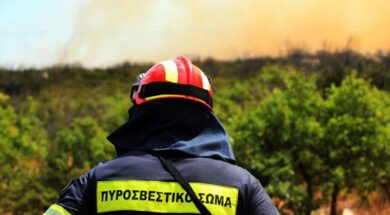 121102-0.dasiki-pyrkagia-kornos-1