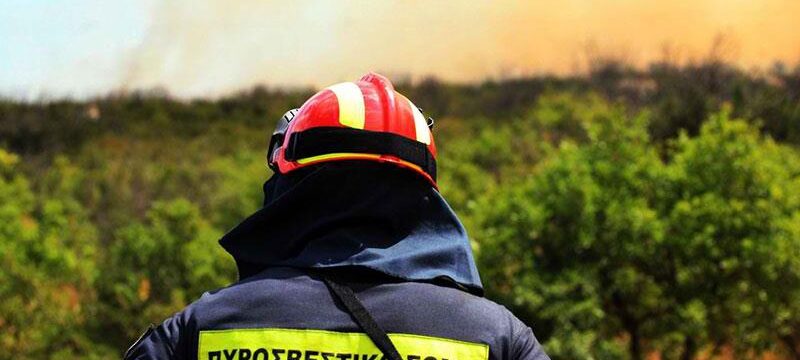 121102-0.dasiki-pyrkagia-kornos-1