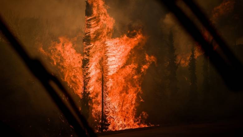 Ολονύχτια μάχη να μη φτάσει η φωτιά στο Δάσος του Μαχαιρά: «Εν κρουσμένα ούλλα»