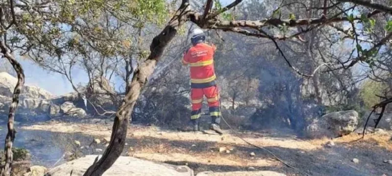 99ccb82dc7a5d5385bcc6ab367531fb0