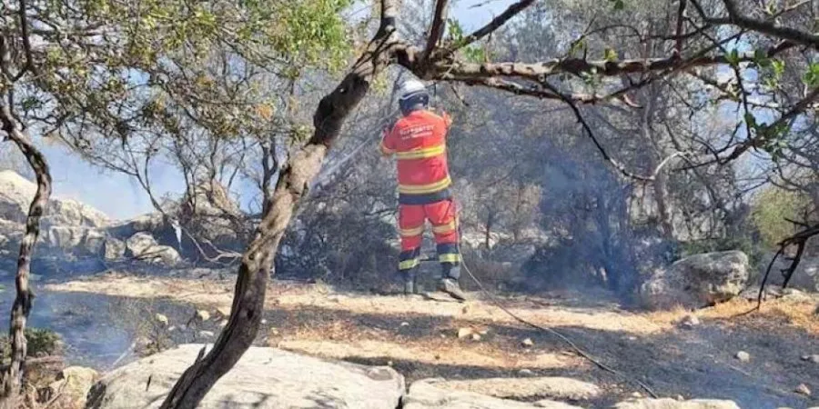 Κακόβουλα τέθηκε η πυρκαγιά στην Ανώγυρα – «Η φωτιά ξεκίνησε από εμπρησμό»