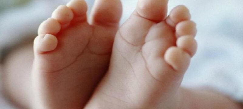 9cf110f7-140e-4606-94d6-89c9795474d3