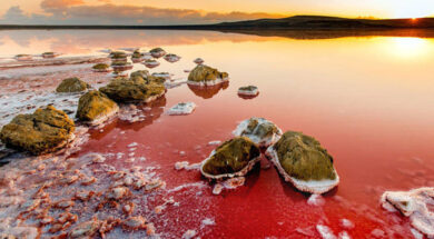 Koyashskoye-Salt-Lake-red-447016