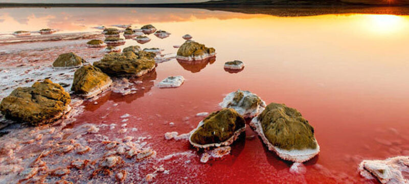 Koyashskoye-Salt-Lake-red-447016