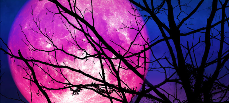 Panselinos-27-04-2021-Ta-4-zodia-poy-tha-epireastoyn-PIC-ASTROLOGIA