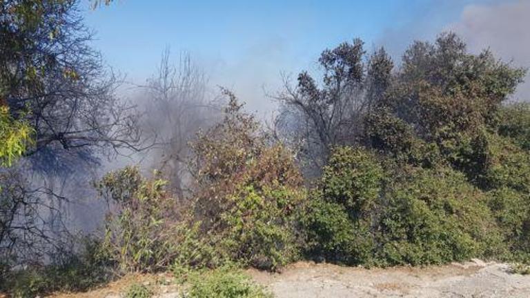 ΑΗΚ: Κάηκαν πάσσαλοι, μετασχηματιστές, καλώδια από τη φωτιά