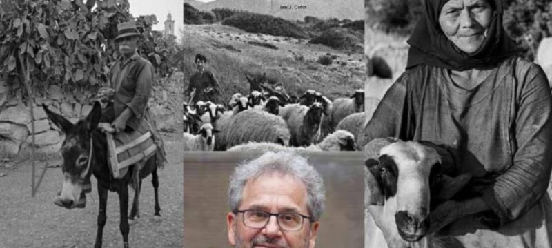 cache_980x637_Crop_medium_804284_486916_24_06_25_095720