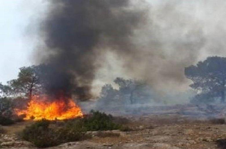 Μεθυσμένος έβαλε φωτιά σε μπάλες σανού αξίας 18.875 ευρώ – Συνελήφθη 25χρονος