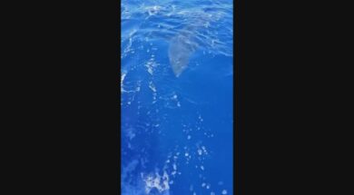 karxanias_new_frame_194