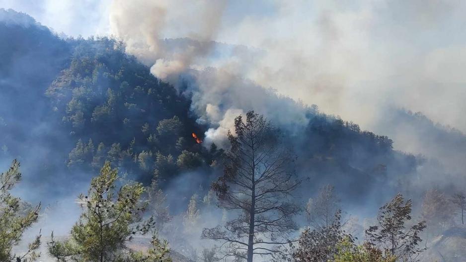 Βίντεο «καίει» την ΑΗΚ για τον μετασχηματιστή – Ήταν ανέπαφος επιμένει η ΑΗΚ