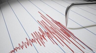seismosexocover