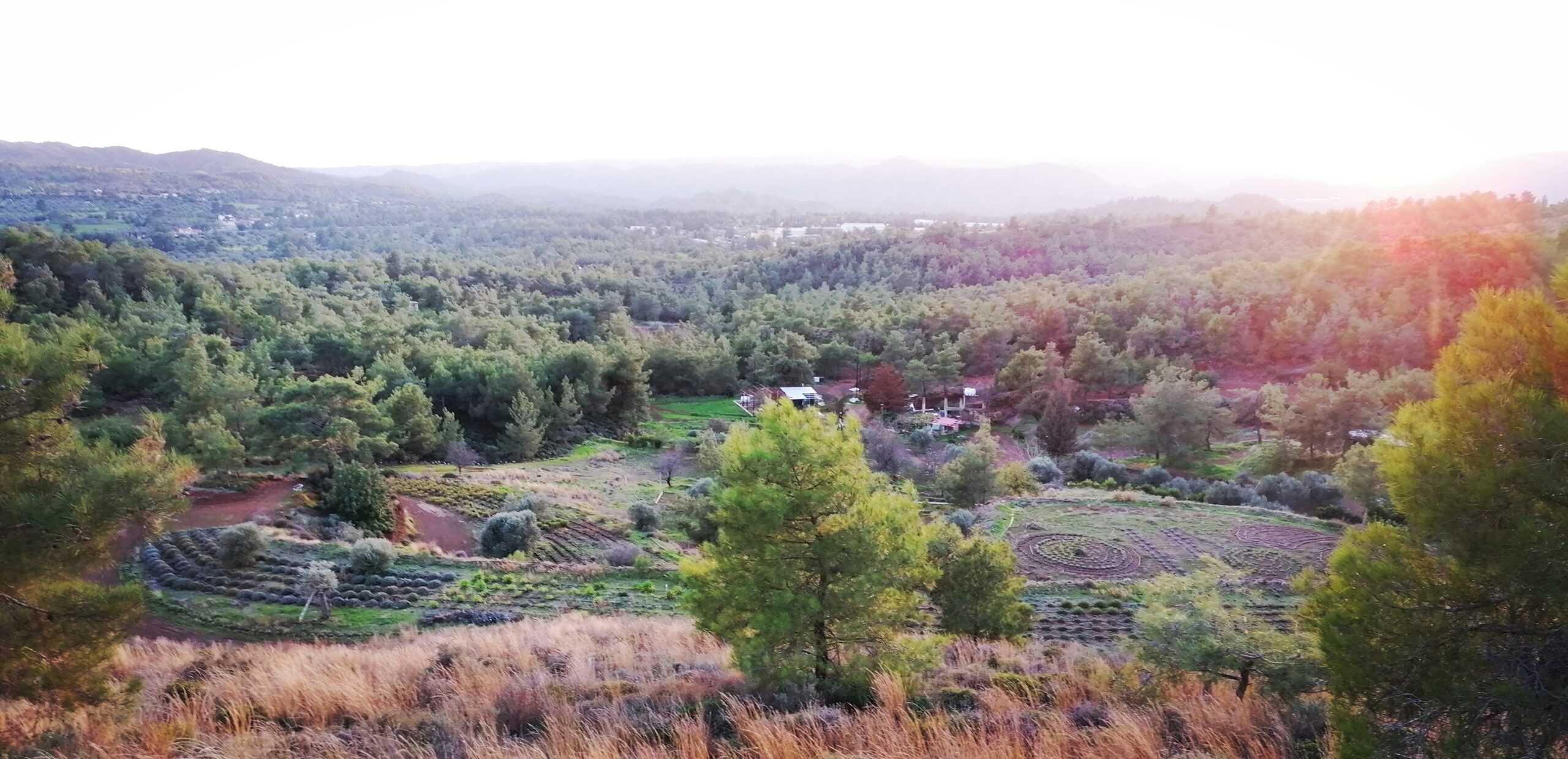 Ο βοτανόκηπος στην «καρδιά» του Κόρνου  (φώτο)