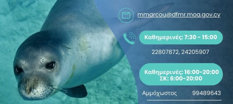 450400373_792572389732136_6943099694102856168_n