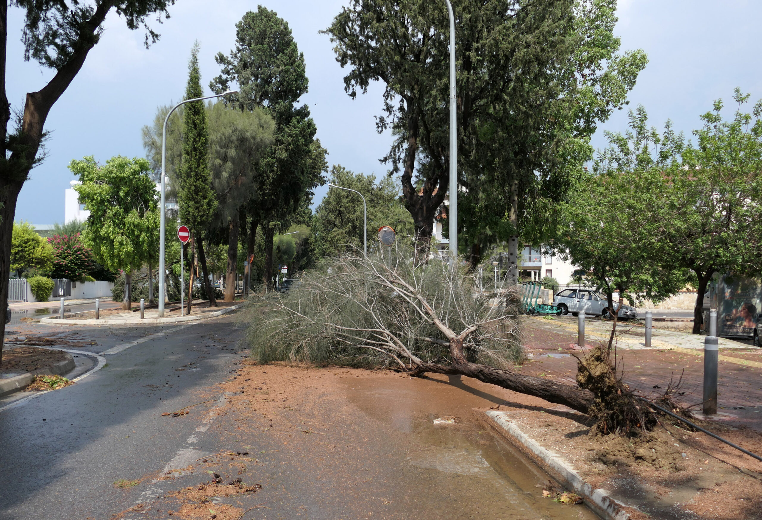 Ανεμοστρόβιλος «χτύπησε» καλοκαιριάτικα τη Λευκωσία κι άφησε πίσω της ζημιές