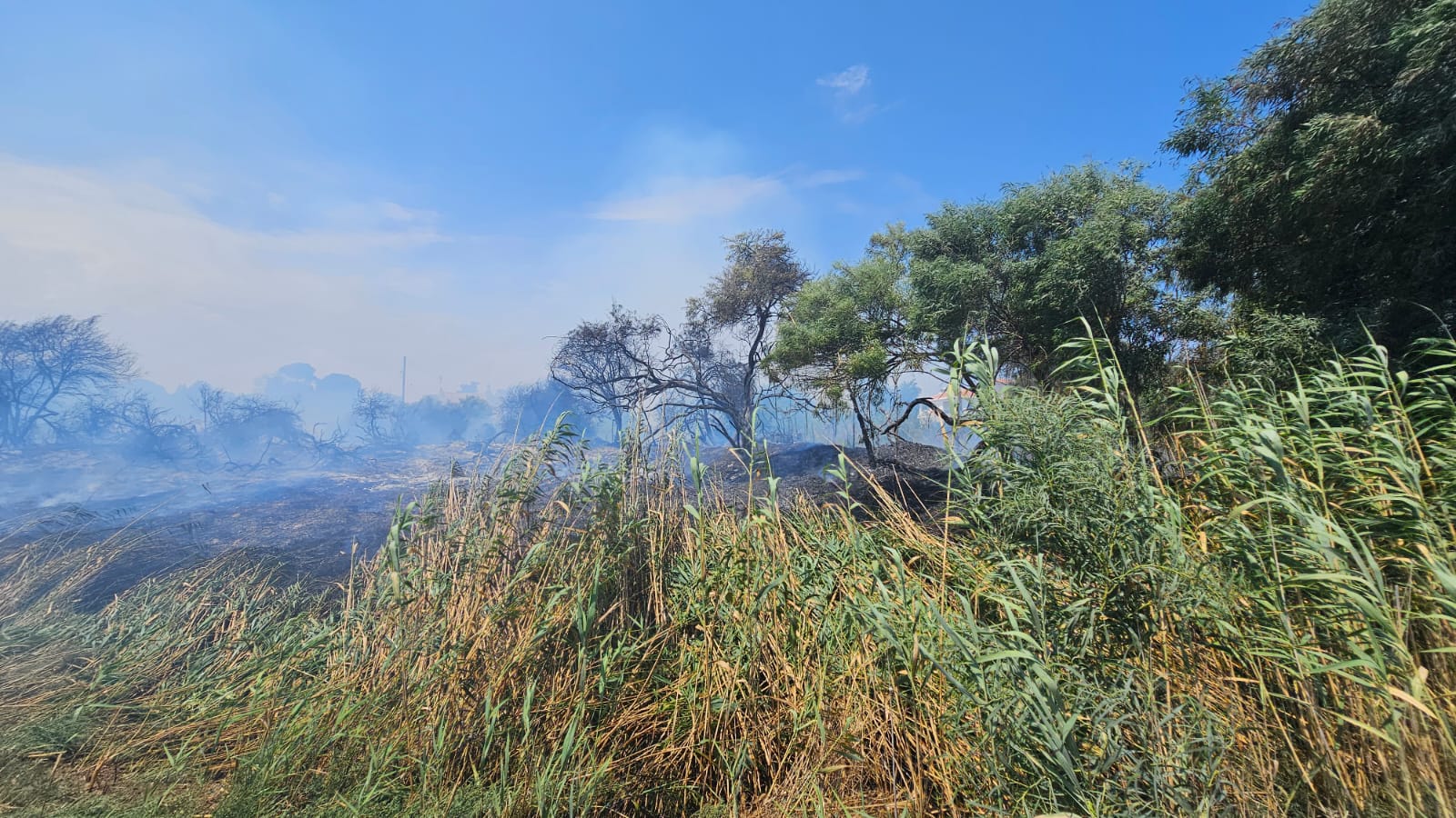 Υπό πλήρη έλεγχο τέθηκε η πυρκαγιά στο Λεπροκομείο