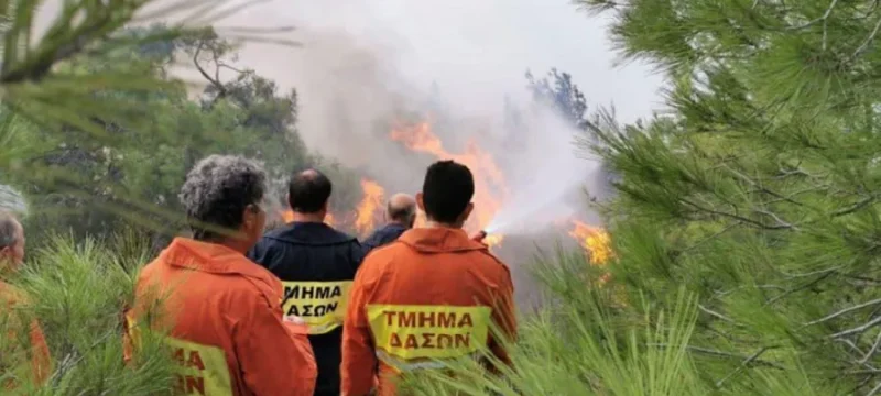 a7c1df3e4ba9ea78866b5b0dc5a80e2b