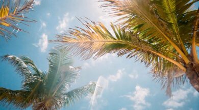 jorge-vasconez-CpeUoLVTAs8-unsplash-1024×679
