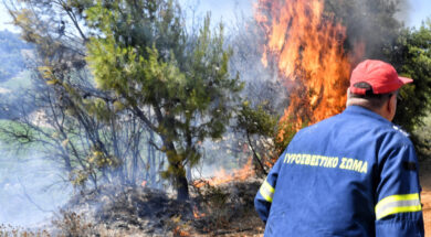 ΠΥΡΚΑΓΙΑ ΣΤΗΝ ΠΕΡΙΟΧΗ ΣΤΙΜΑΓΚΑ ΚΟΡΙΝΘΙΑΣ (ΒΑΣΙΛΗΣ ΨΩΜΑΣ/EUROKINISSI)