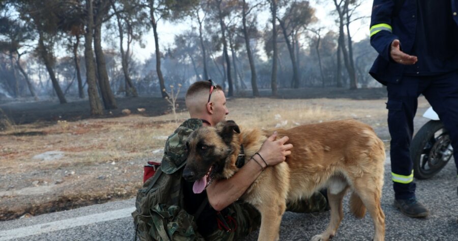 Καμία ενημέρωση από Κύπριους στην πυρόπληκτη Αττική, τα στοιχεία επικοινωνίας