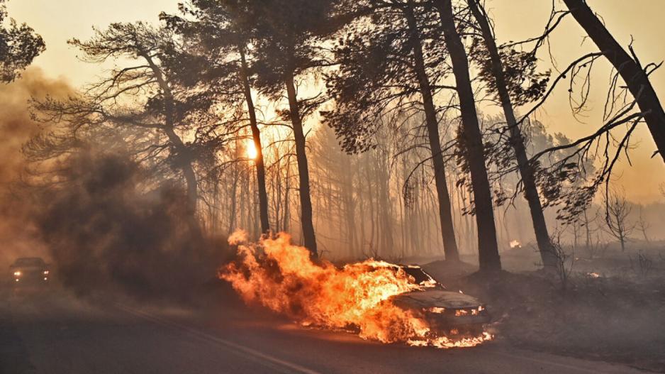 Πυρκαγιές στην Ελλάδα: Σε 180 απεγκλωβισμούς προχώρησε η Αστυνομία από το βράδυ της Κυριακής