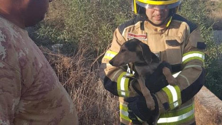 Σκυλάκι έπεσε σε λαγούμι ύψους 12 περίπου μέτρων, το διέσωσε η Πυροσβεστική