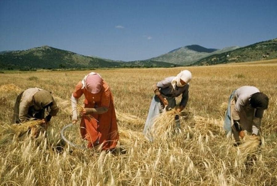 Έρχεται το 2ο Παγκύπριο Πολιτιστικό Φεστιβάλ Θέρους