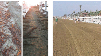 LTB BEACH CLEANING SUMMER 2024 BEFORE AFTER