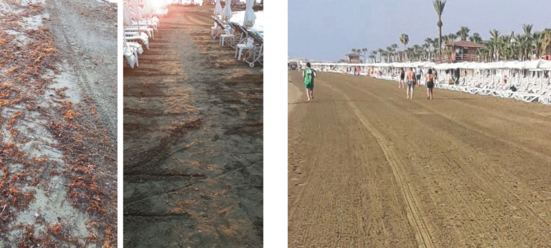 LTB BEACH CLEANING SUMMER 2024 BEFORE AFTER