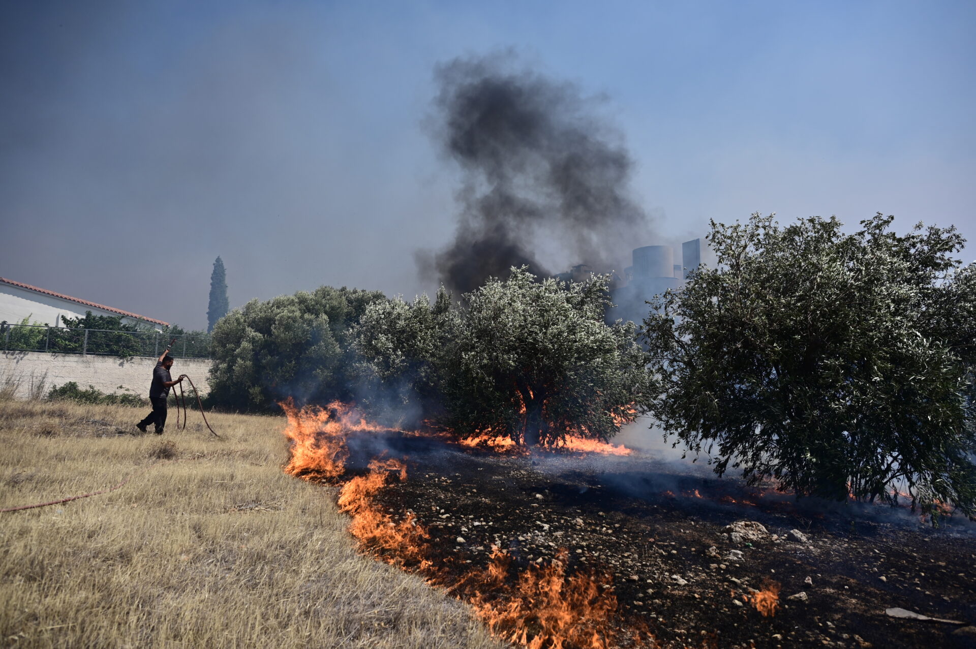 Κάηκαν ελαιόδεντρα και άγρια βλάστηση από πυρκαγιά στον Ψευδά